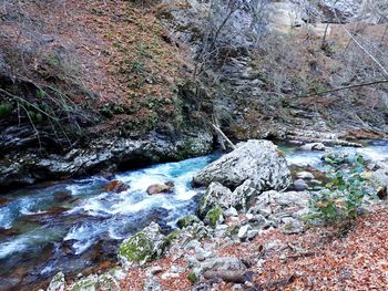 Scenic view of waterfall in forest