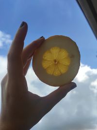 Close-up of hand holding apple against sky