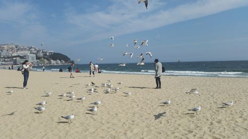 People at beach with flock of birds against sky