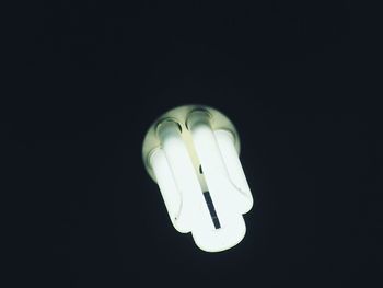 Low angle view of illuminated light bulb in darkroom