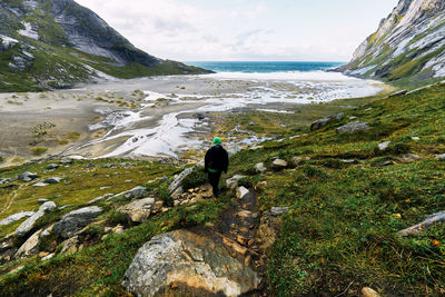 Rear view of man standing on landscape 