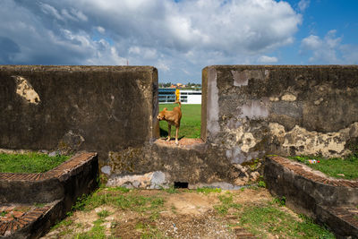 Old ruin building against sky