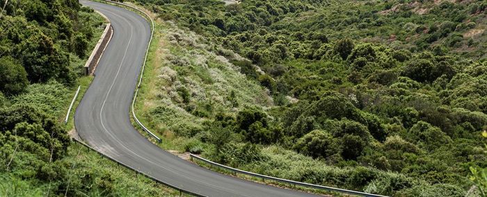 High angle view of road amidst trees