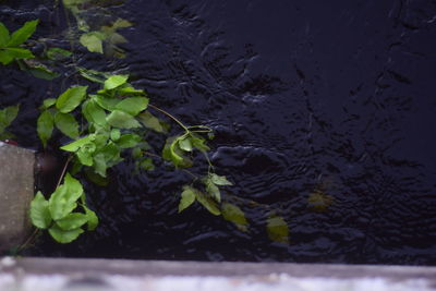 High angle view of water