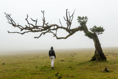 Rear view of man walking on field against sky