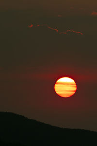 Silhouette of tree against sky during sunset