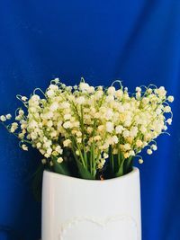 Close-up of white flowering plant in vase