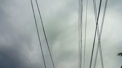 Low angle view of birds against sky