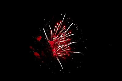 Low angle view of firework display against sky at night