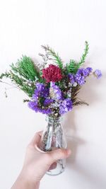 Close-up of hand holding flower vase against white background