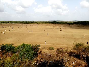 Rural scene from india