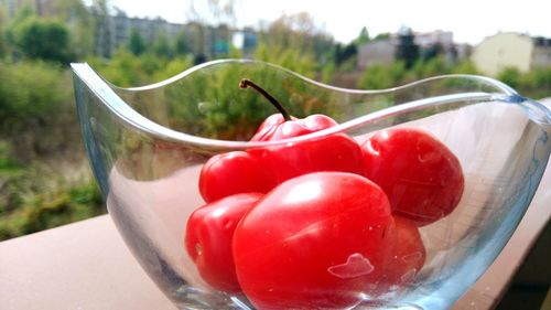 Close-up of red cherries in water