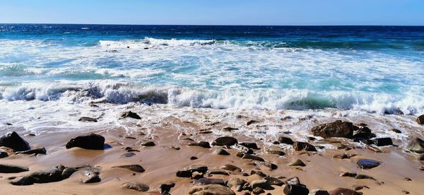 Scenic view of sea shore against sky