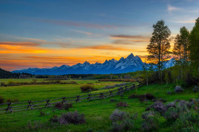 Scenic view of field against sky during sunset