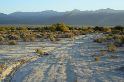 Scenic view of field and mountains against sky