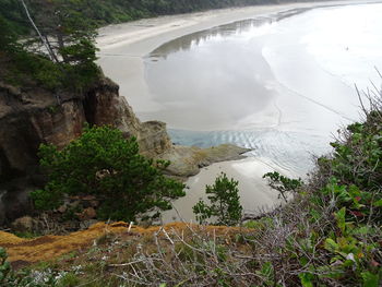 High angle view of waterfall along trees