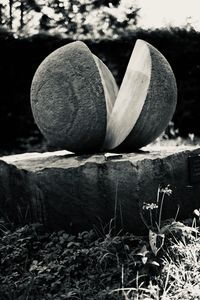 black and white