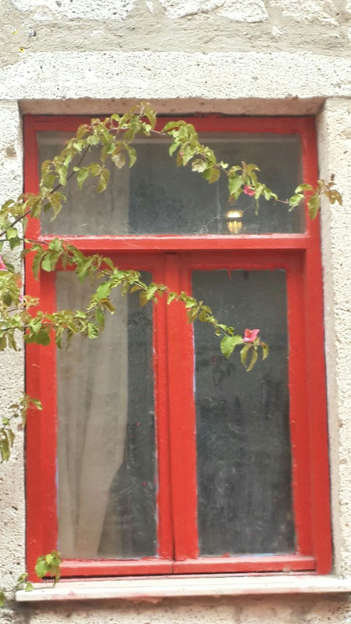 built structure, building exterior, architecture, red, no people, day, window, house, plant, outdoors, growth, leaf, close-up, flower, window box