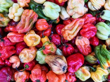 Full frame shot of bell peppers 