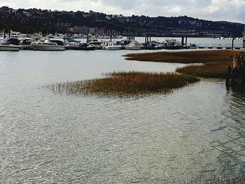 Reflection of trees in water against sky