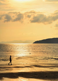 Scenic view of sea at sunset