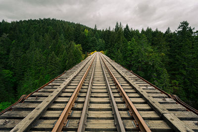 Railroad tracks amidst trees against sky