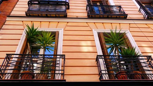 Low angle view of potted plants on balcony of building