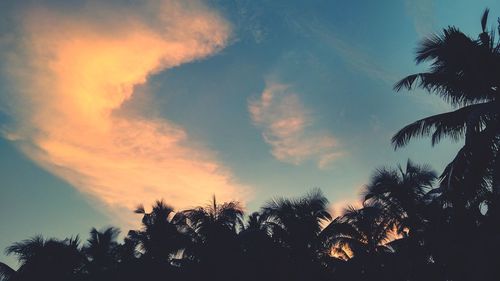 Low angle view of silhouette trees against sky during sunset
