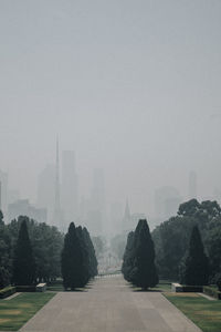 Trees and buildings against sky