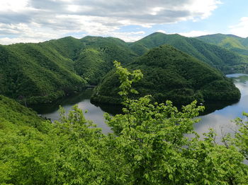 Scenic view of tree mountains against sky