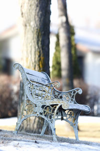 Close-up of an animal representation on tree trunk during winter