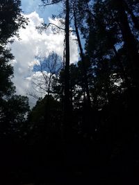 Low angle view of silhouette trees against sky