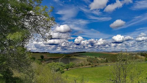 Scenic view of landscape against sky