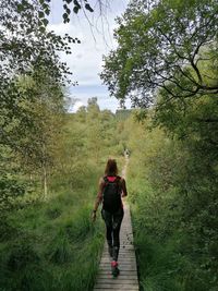 Rear view of woman walking on a bridge