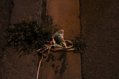 High angle view of a statue against wall