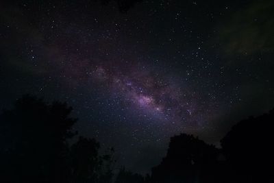 Low angle view of silhouette trees against sky at night