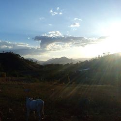 Scenic view of landscape against cloudy sky