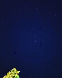 Low angle view of trees against sky at night