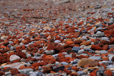 Close-up of stones on beach