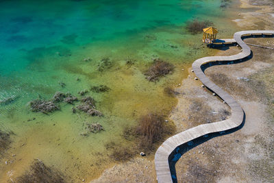 High angle view of crocodile in swimming pool