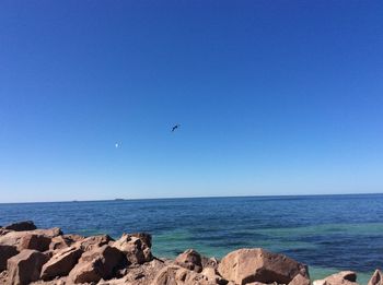 Scenic view of sea against clear blue sky