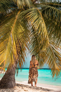 Rear view of woman on palm tree at beach