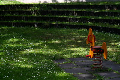 Boy in park