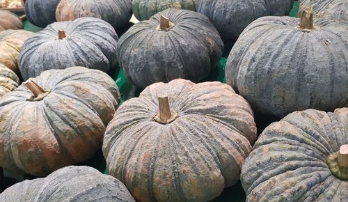 Full frame shot of pumpkins for sale