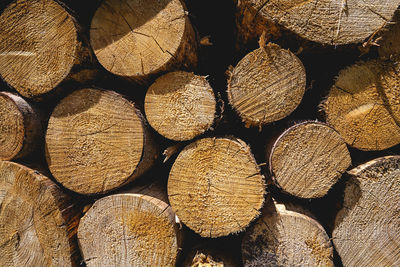 Full frame shot of logs in forest