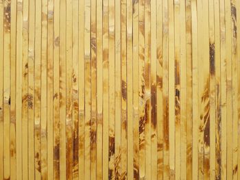 High angle view of bamboo on hardwood floor