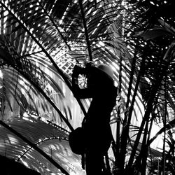 Silhouette man standing by tree