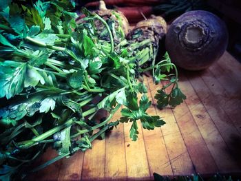 High angle view of plants on table