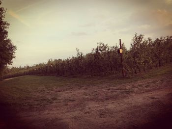 Scenic view of field against cloudy sky