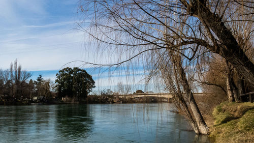 Bare trees by river against sky